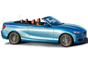 2.0 (220d Cabrio xDrive)