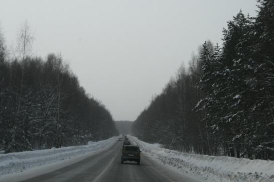 Красивый вид дорогу через лес