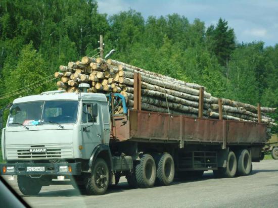 Лес из Кирова. Итальянцы из него сделают мебель и продадут в Киров.