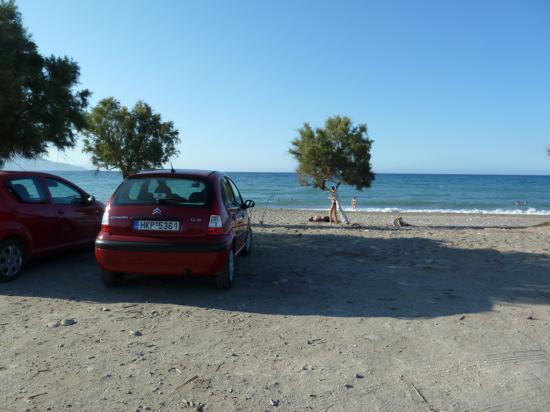 диким я его назвал, т.к. добраться до него можно только на автомобиле