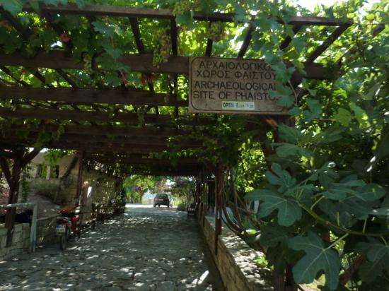 арка из винограда создает приятную прохладу для работников комплекса
