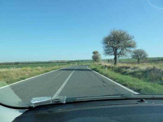 Сельские дороги выглядят так