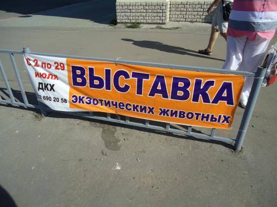 Интересно побывать на этой выставке. Наверное это дзержинские животные-мутанты.