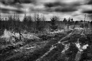 Безопасны ли дороги в Нижнем Новгороде?