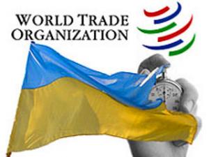 Украина приняли не в НАТО, а в ВТО