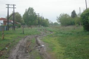 Сенсация ! Все деревни в России будут иметь асфальтные дороги