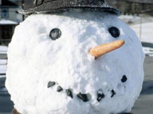 Водитель лишился работы за убийство снеговика