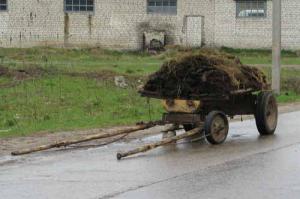 Генпрокуратура обвиняет российские дороги