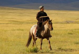В России будут выпускать монгольские седаны