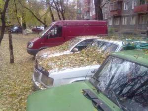 Для москвичей создали сайт о местах на парковках