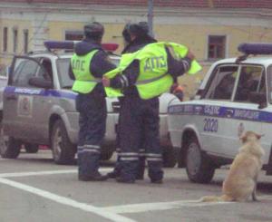 Российских полицейских пересадят на ВАЗы и УАЗы