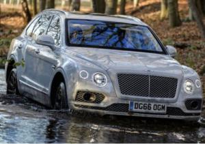 В России появится 7-местный Bentley Bentayga в обход санкций